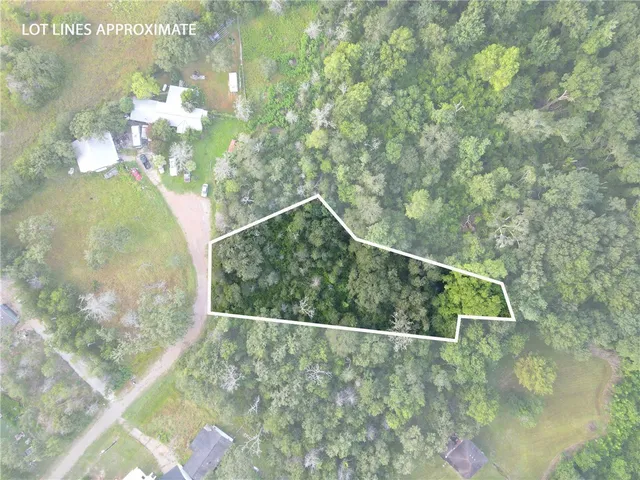 a view of a lake with a mountain