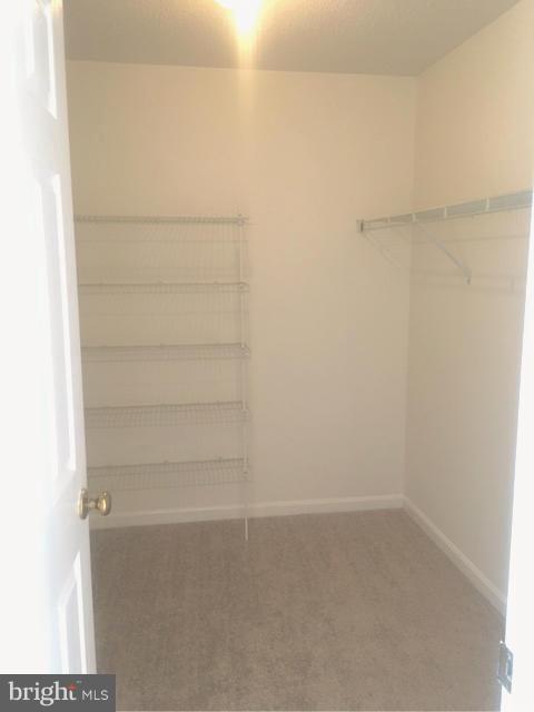 2117 Blue Knob Terrace Silver Spring, MD 20906 - Photo 11 of 18 Bedroom (Master)