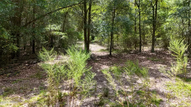 $400,000 | 1730 Firetower Road, Chipley, FL 32428