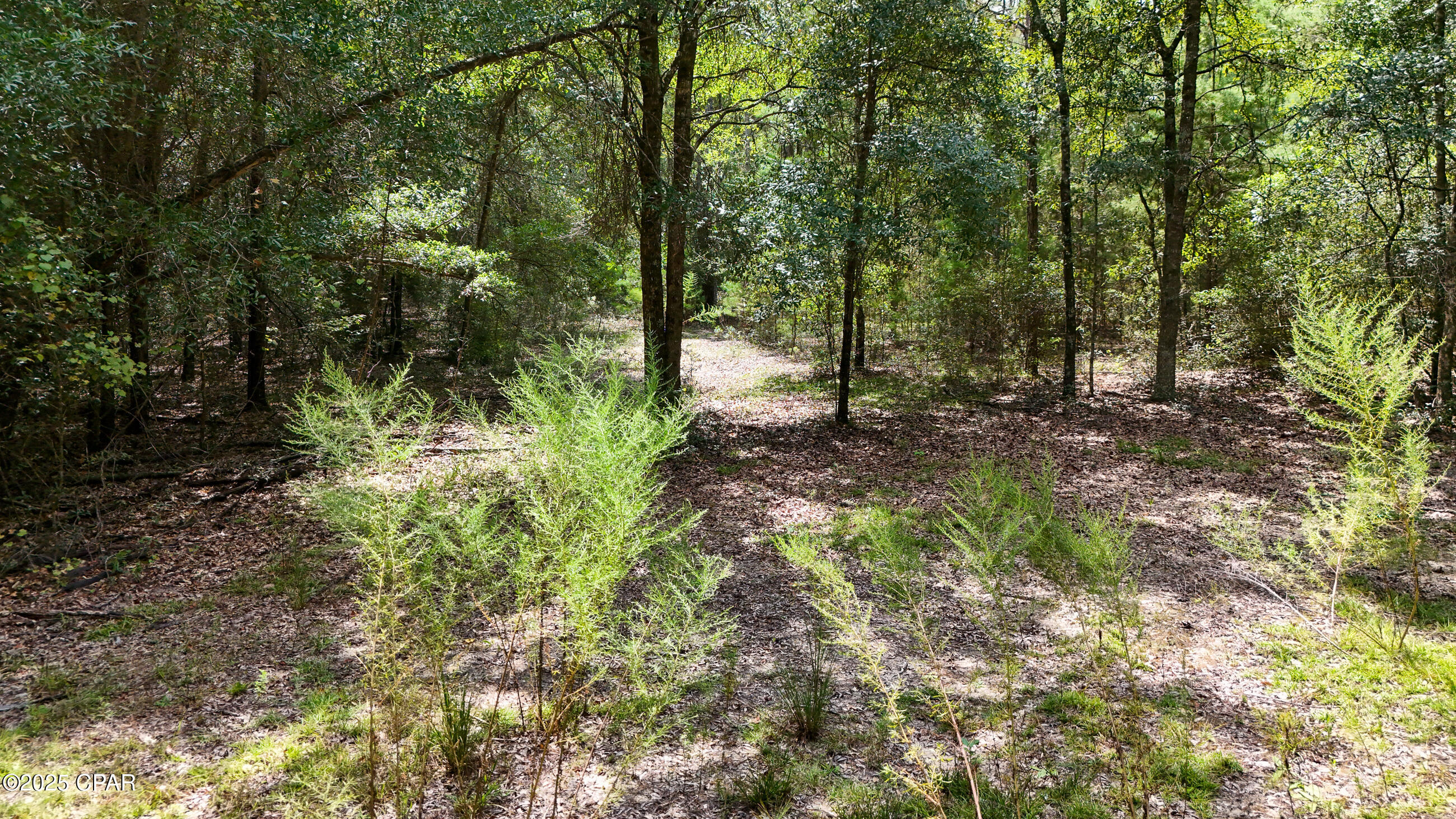 1730 Firetower Road Chipley, FL 32428 - Photo 42 of 49