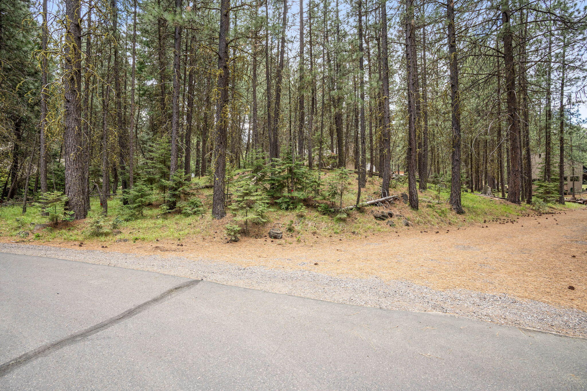 Undisclosed Address Black Butte Ranch, OR 97759 - Photo 7 of 24 a view of outdoor space with trees