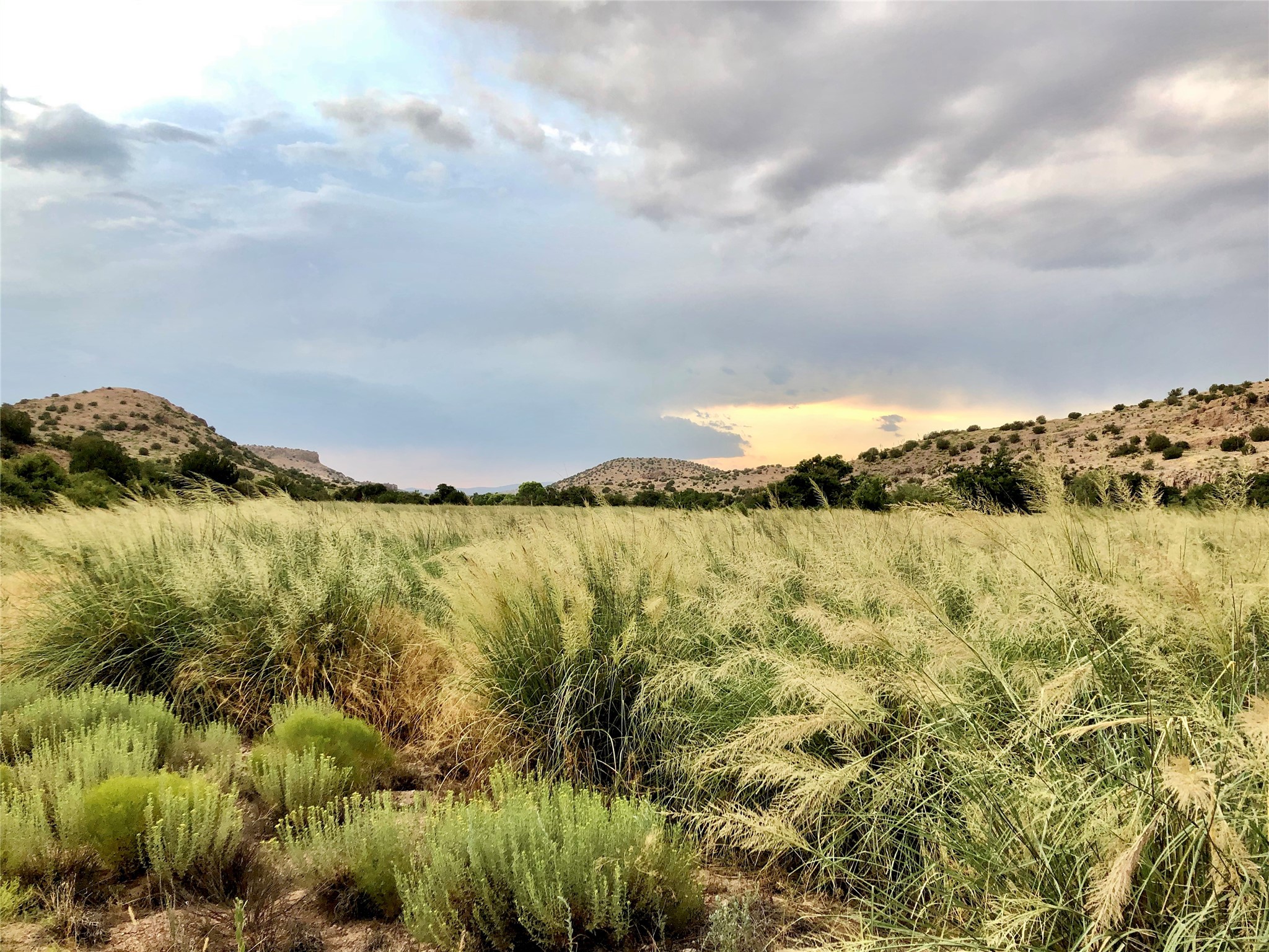 Pitchfork Pitchfork Ranch Silver City, NM 88061 - Photo 8 of 56