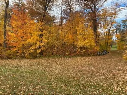 $52,900 | Tbd Tbd Parview Lane Northeast, Miltona, MN 56354