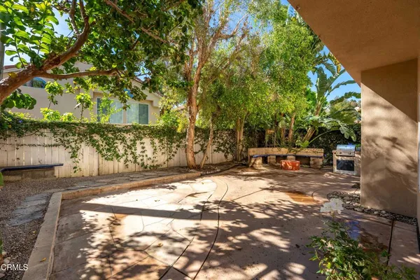 a view of yard with trees
