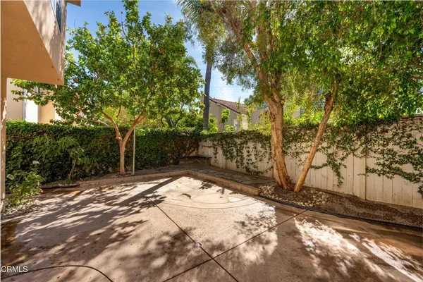 a view of a yard with plants and trees