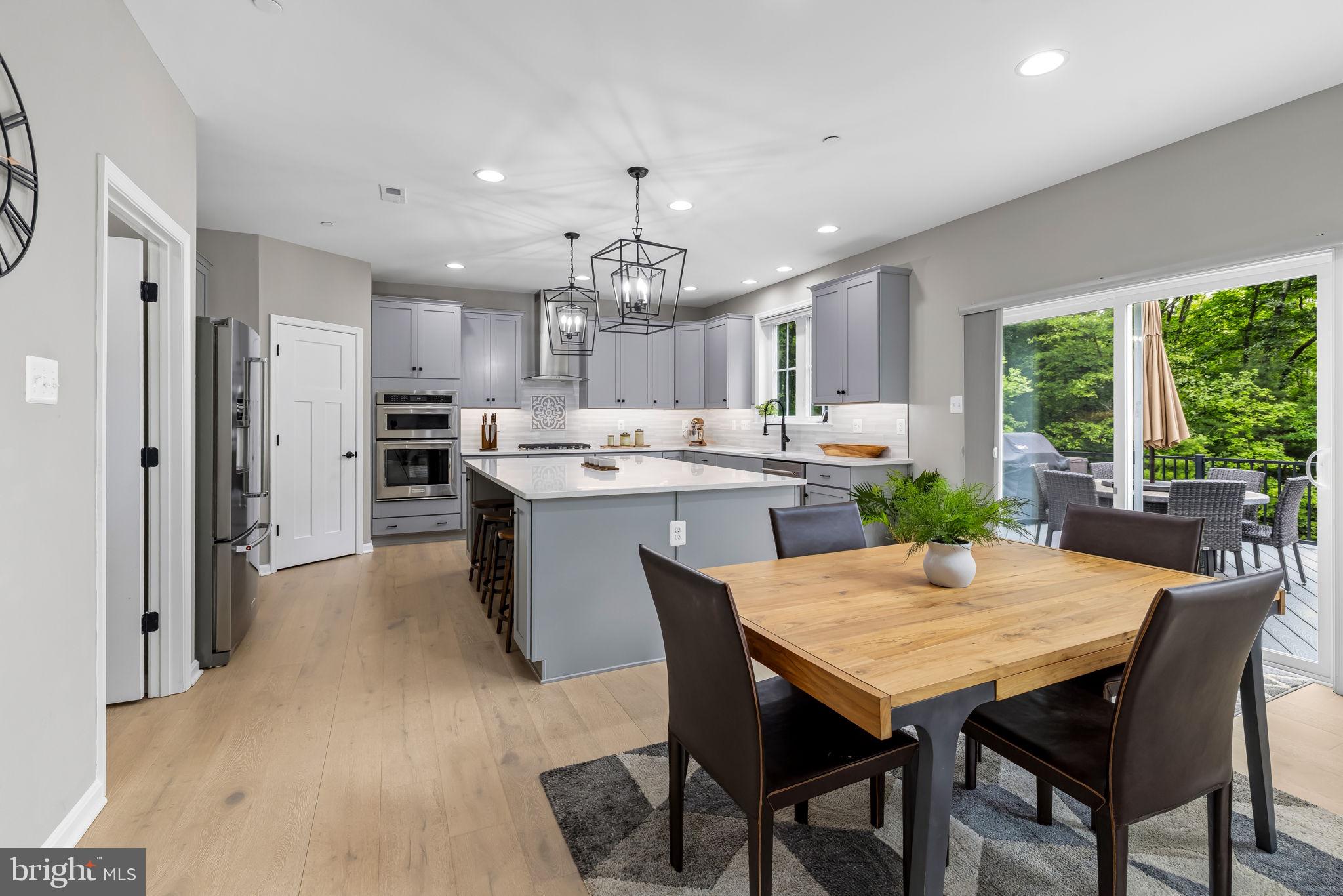 14536 Black Ankle Road Mount Airy, MD 21771 - Photo 2 of 41 Modern kitchen with natural light.