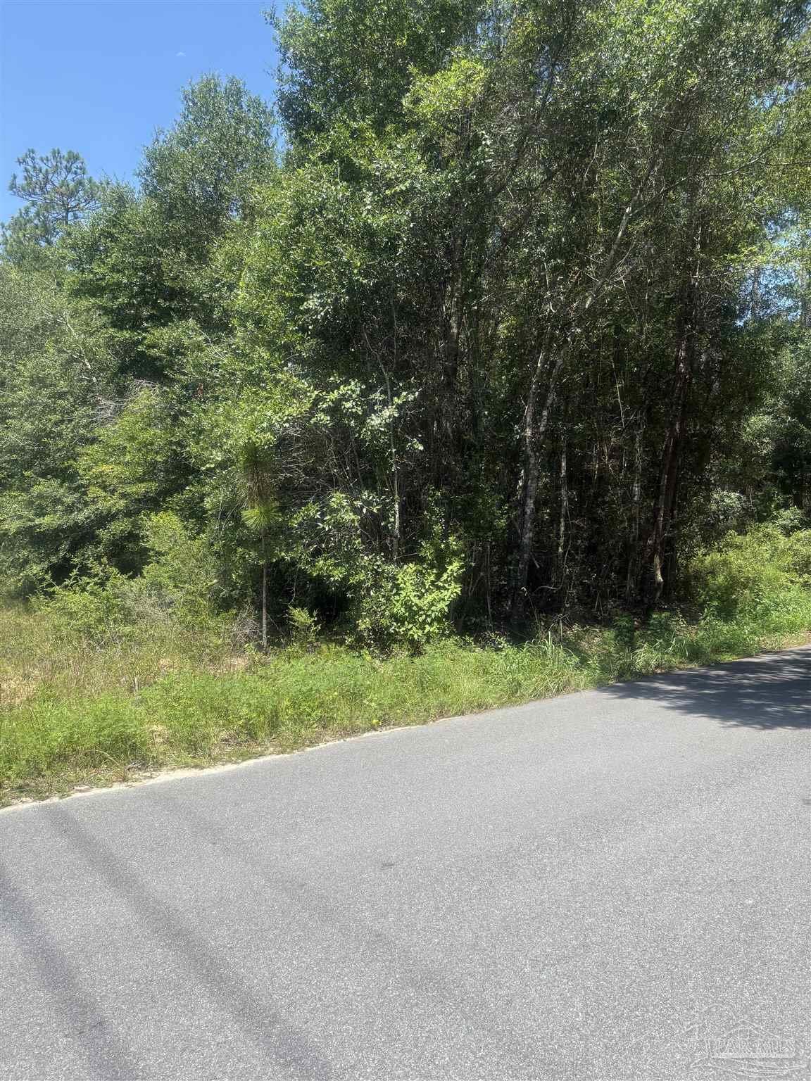 3 Bryant Bridge Road Holt, FL 32564 - Photo 4 of 5