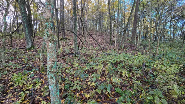 $139,000 | 5635 Plum Creek Road, Vevay, IN 47043