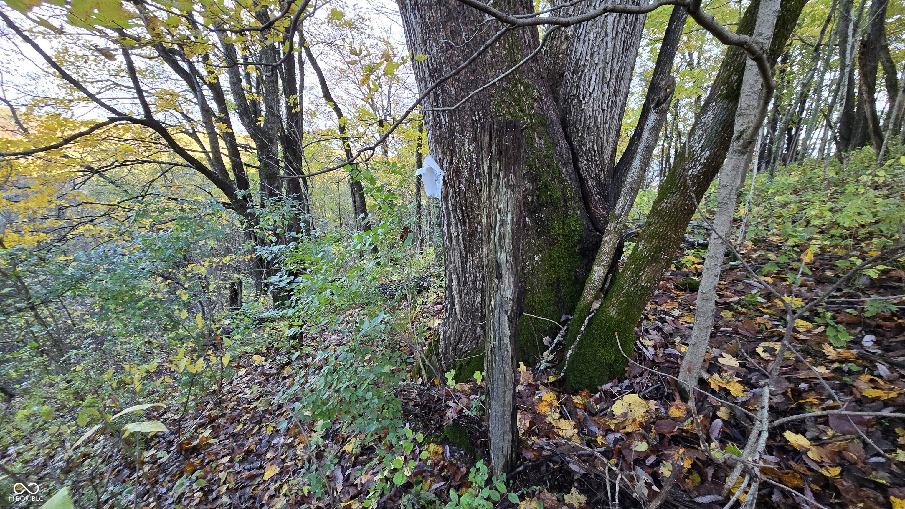 5635 Plum Creek Road Vevay, IN 47043 - Photo 12 of 60