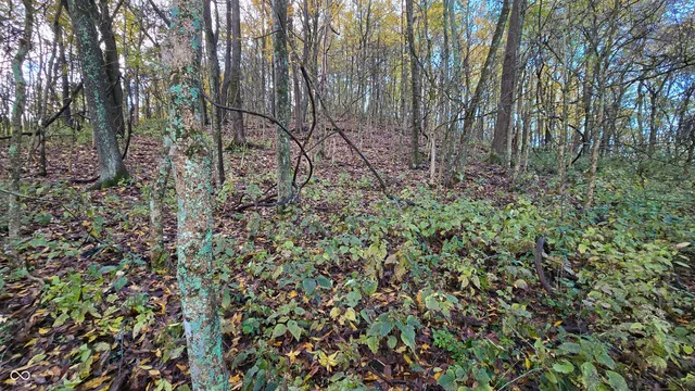 $159,000 | 5635 Plum Creek Road, Vevay, IN 47043