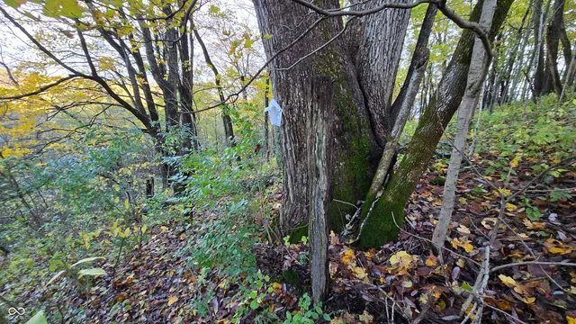 $159,000 | 5635 Plum Creek Road, Vevay, IN 47043