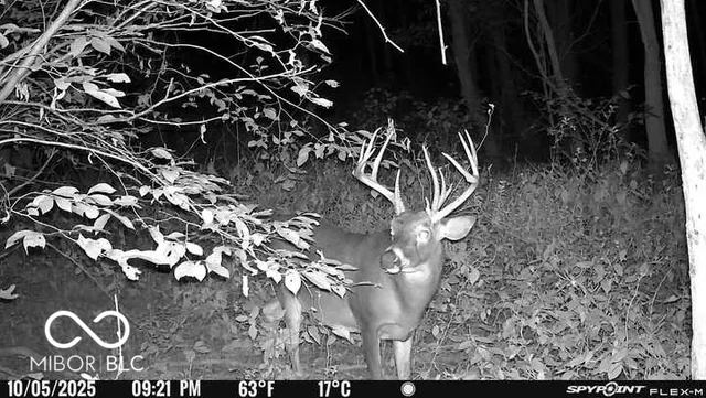 $159,000 | 5635 Plum Creek Road, Vevay, IN 47043