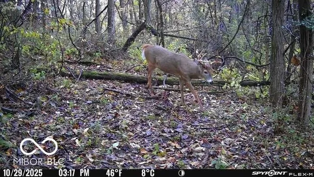 $159,000 | 5635 Plum Creek Road, Vevay, IN 47043