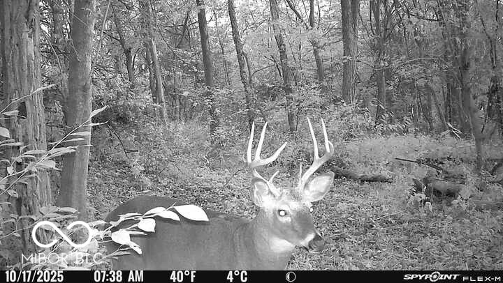 5635 Plum Creek Road Vevay, IN 47043 - Photo 22 of 60