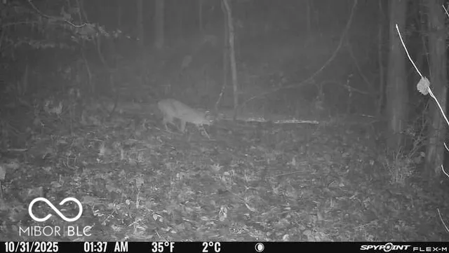 $159,000 | 5635 Plum Creek Road, Vevay, IN 47043