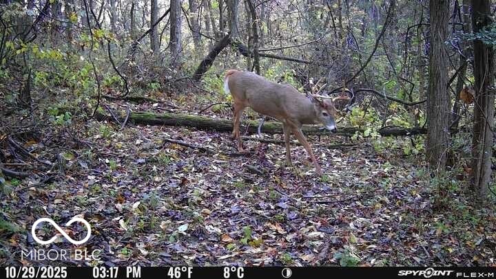 5635 Plum Creek Road Vevay, IN 47043 - Photo 24 of 60