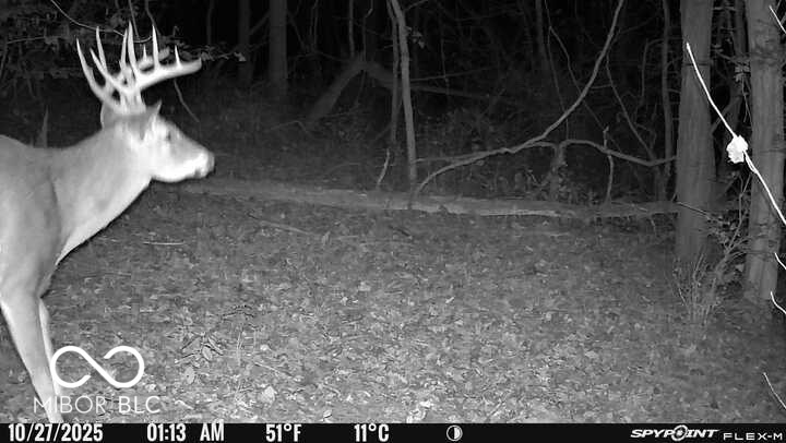 5635 Plum Creek Road Vevay, IN 47043 - Photo 26 of 60