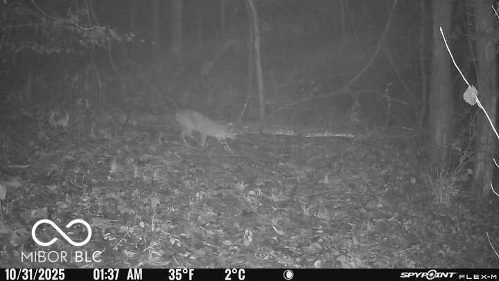 5635 Plum Creek Road Vevay, IN 47043 - Photo 27 of 60