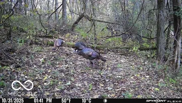 $159,000 | 5635 Plum Creek Road, Vevay, IN 47043