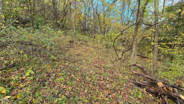 $159,000 | 5635 Plum Creek Road, Vevay, IN 47043