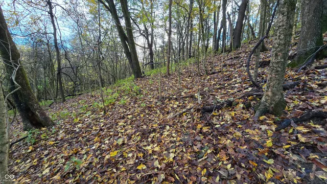 $159,000 | 5635 Plum Creek Road, Vevay, IN 47043