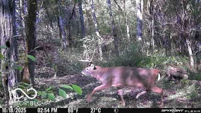 $159,000 | 5635 Plum Creek Road, Vevay, IN 47043