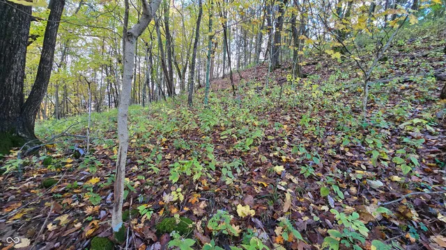 $159,000 | 5635 Plum Creek Road, Vevay, IN 47043