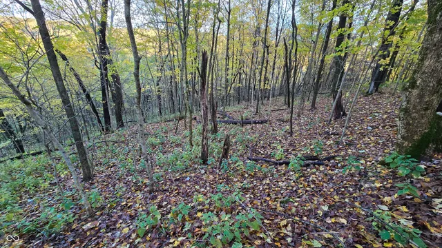 $159,000 | 5635 Plum Creek Road, Vevay, IN 47043