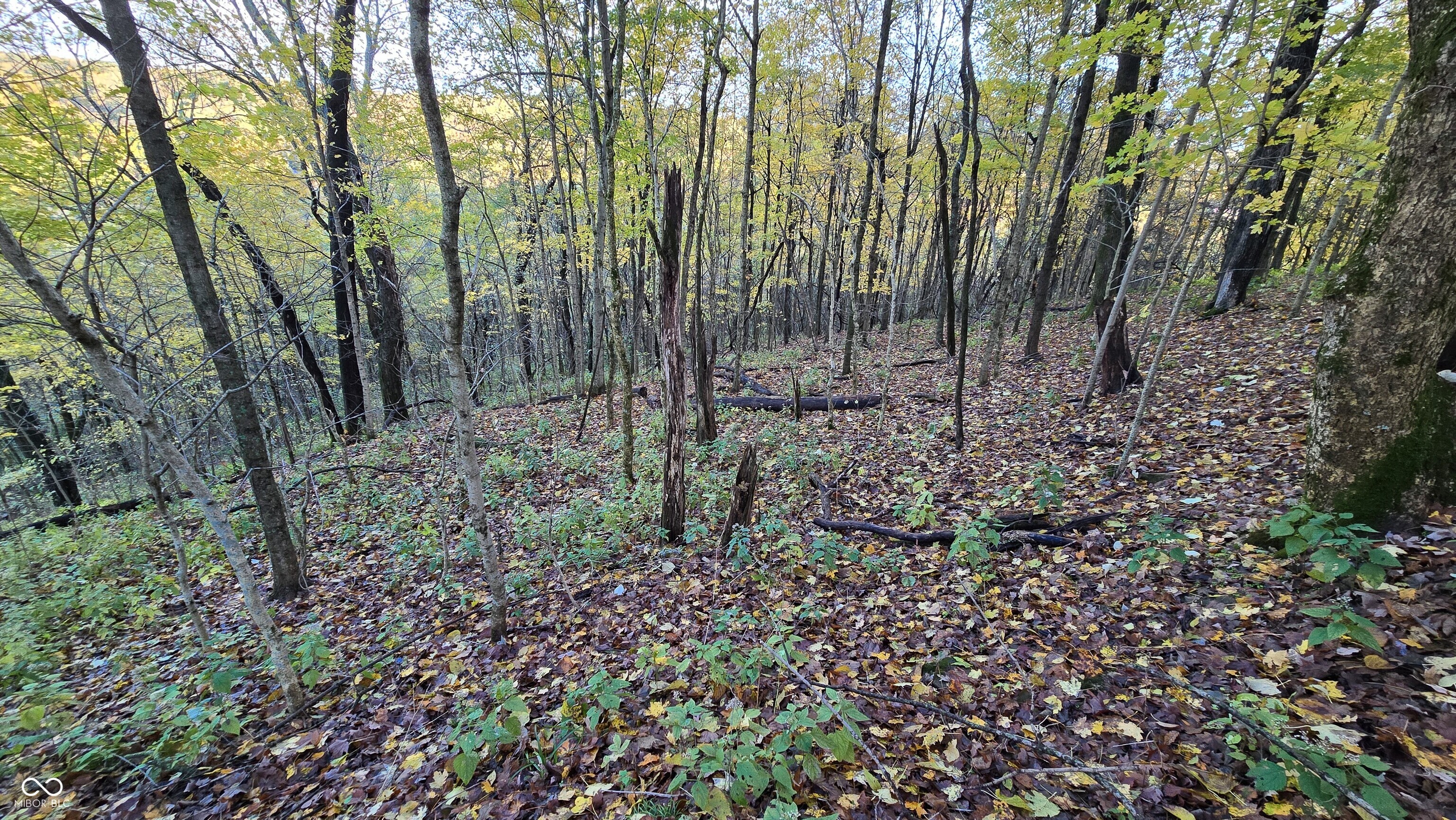 5635 Plum Creek Road Vevay, IN 47043 - Photo 32 of 60