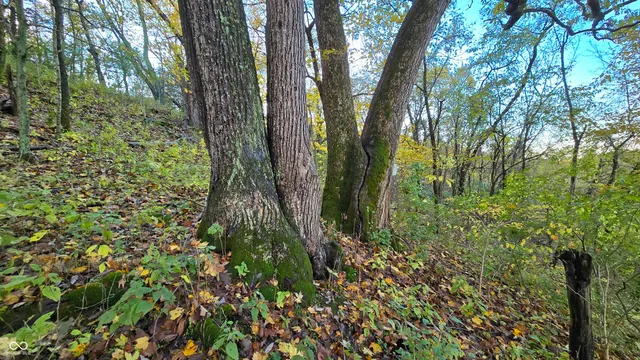 $159,000 | 5635 Plum Creek Road, Vevay, IN 47043