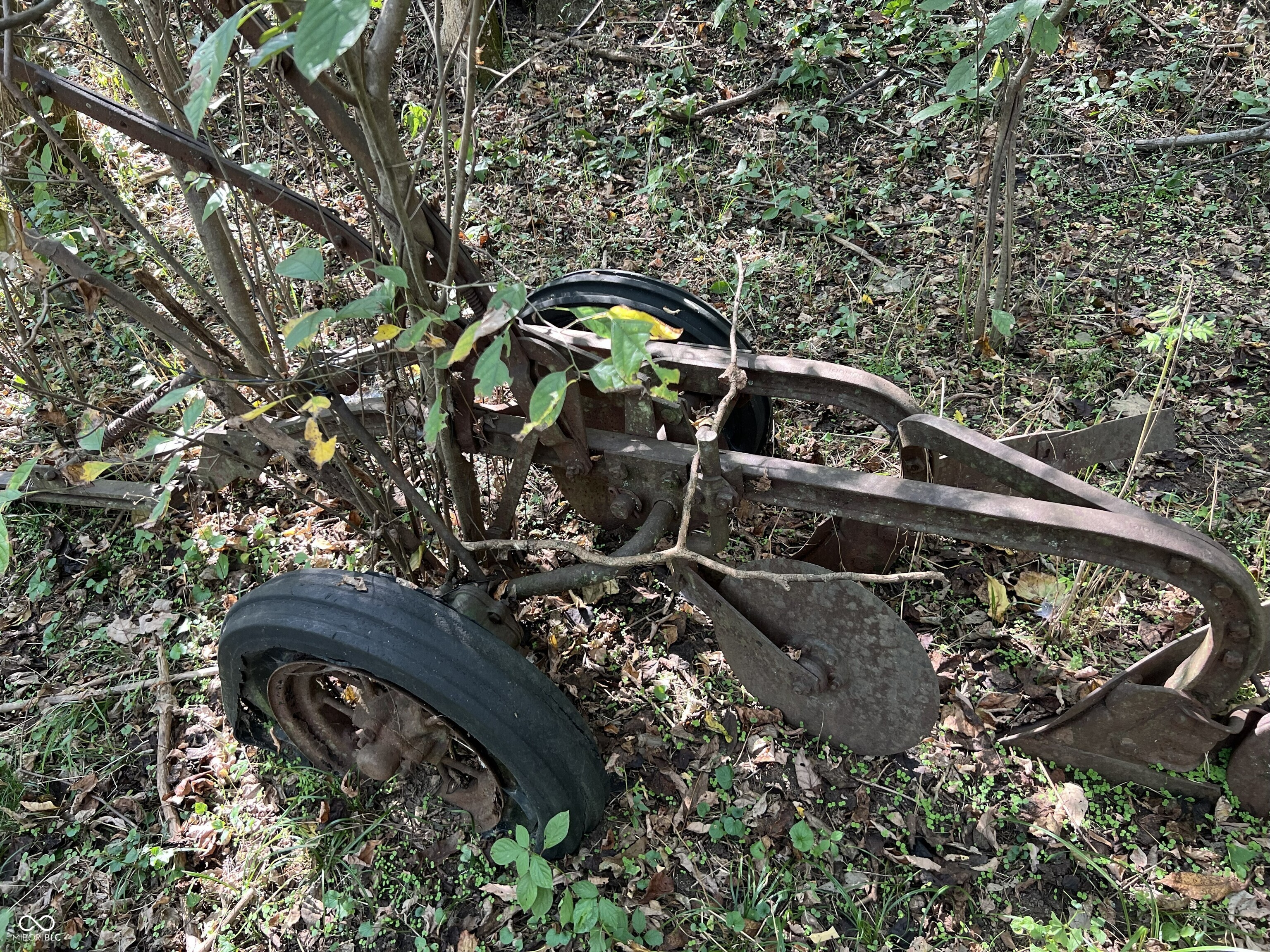 5635 Plum Creek Road Vevay, IN 47043 - Photo 9 of 60