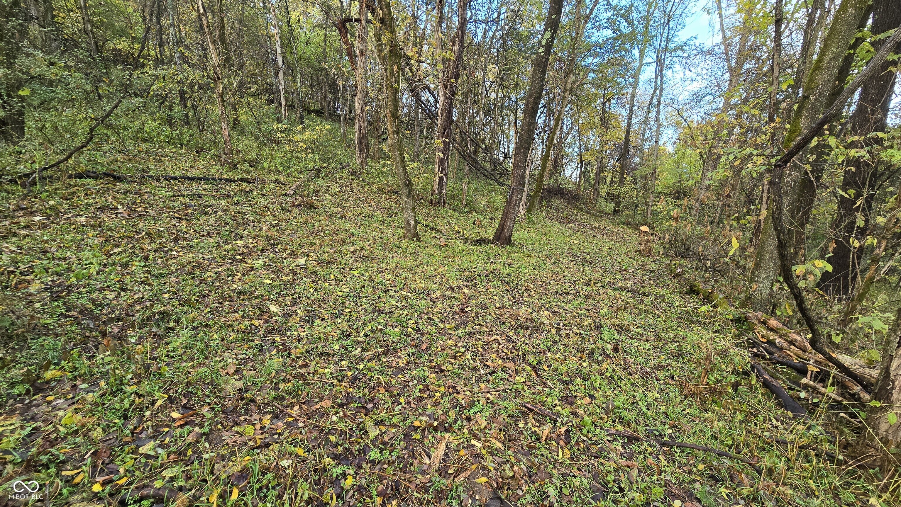 5635 Plum Creek Road Vevay, IN 47043 - Photo 10 of 60