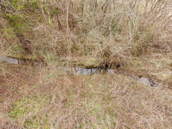 a picture of a tree in next to a road