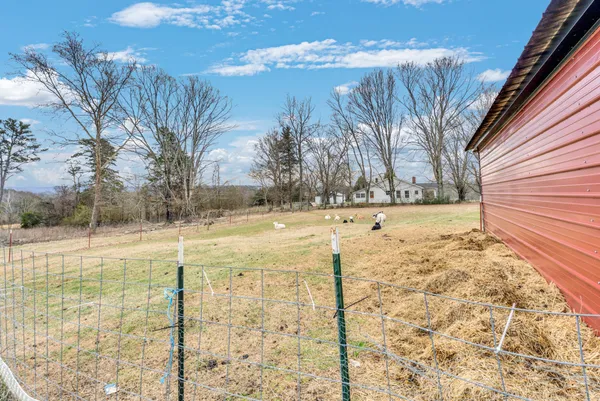 a view of a backyard of the house