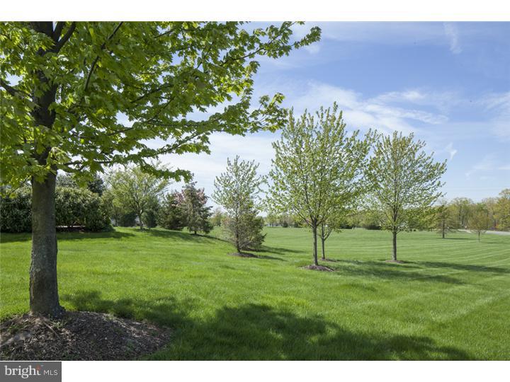 17 Foster Road Pennington, NJ 08534 - Photo 21 of 25 Gallery Image 21