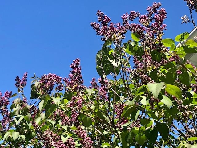 30 Cedar Street Brattleboro, VT 05301 - Photo 10 of 33