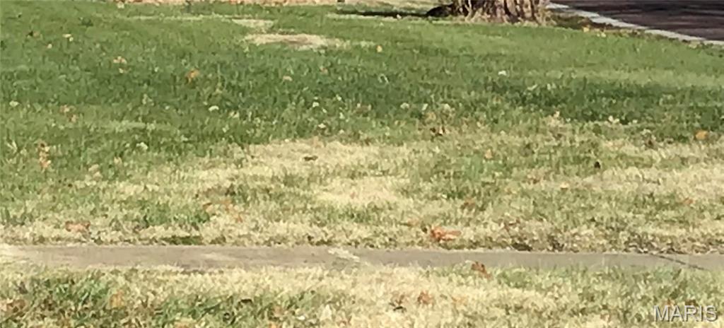 0 North 6th Street Pacific, MO 63069 - Photo 2 of 2