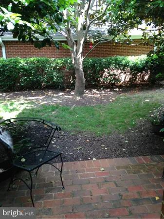 a view of backyard with plants and outdoor seating