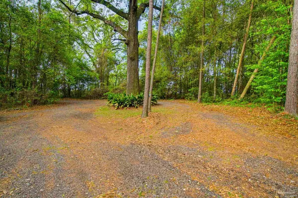 a view of a field with trees in the background