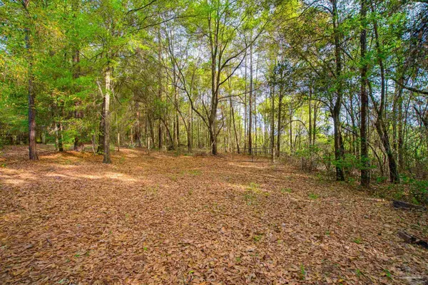 a view of dirt field with trees