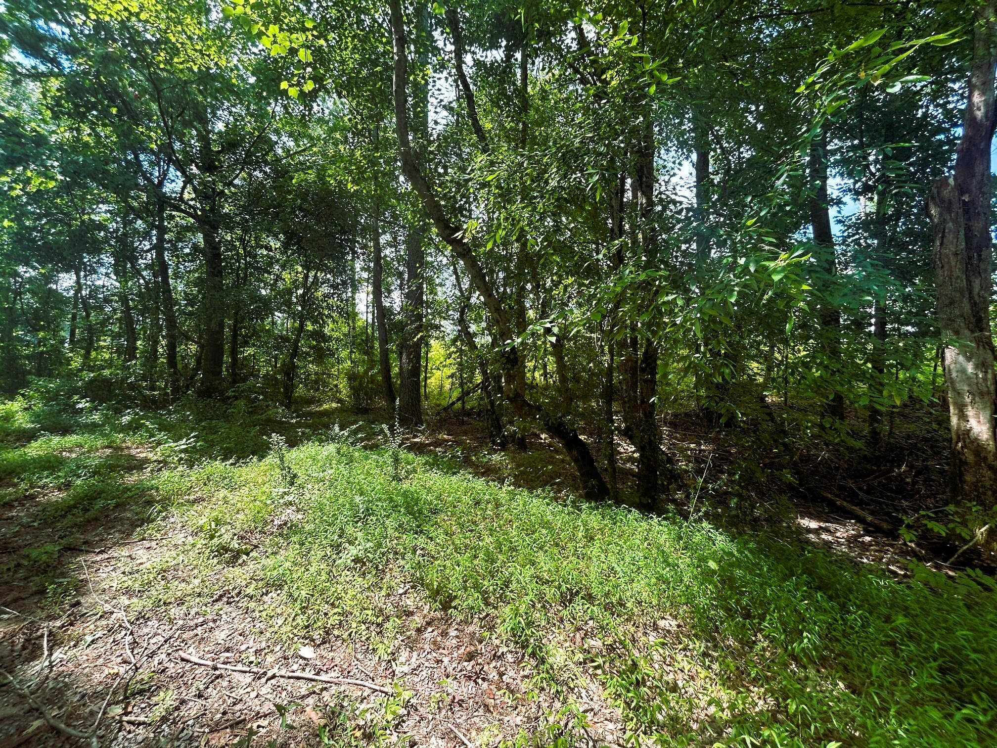 1314 Hughes Lake Road Southeast Cleveland, TN 37323 - Photo 3 of 20