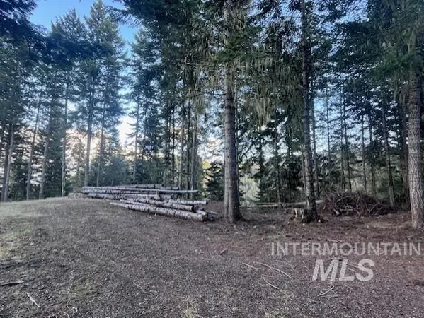 $649,000 | 1139 Ove Creek Lane, Orofino, ID 83544