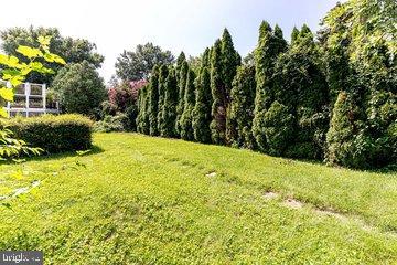 4610 Overbrook Road Bethesda, MD 20816 - Photo 45 of 55