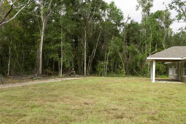 a house that has a lot of plants in it