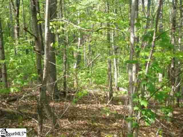 640 Plumley Summit Road, Unit SEC 1 LOT 56B Landrum, SC 29356 - Photo 1 of 1 Gallery Image 1