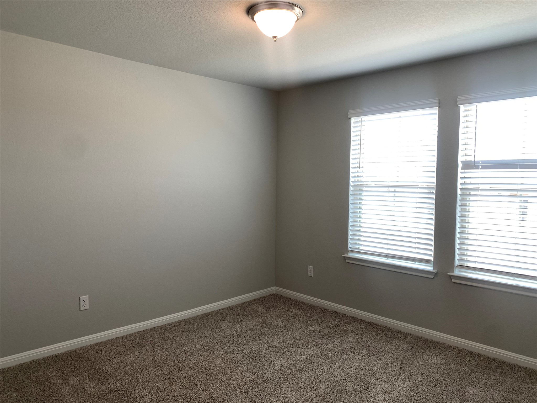 2948 Sage Ranch Drive Leander, TX 78641 - Photo 23 of 28 Well-lit room featuring ample natural light and plush carpeting.