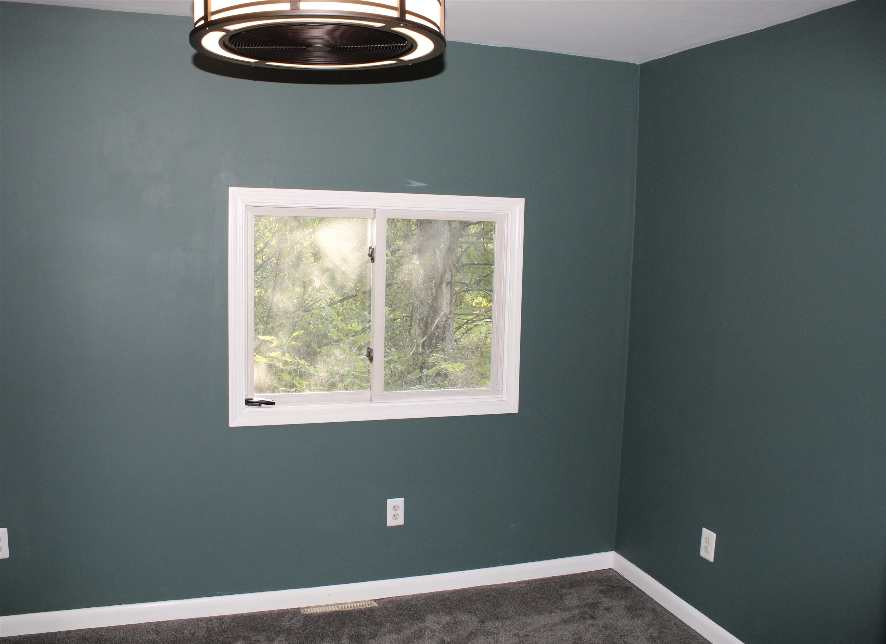 2432 Norton Road Howell, MI 48843 - Photo 49 of 52 50153986-3e2fb9ab-ba5d-4911-9f4d-ca54c8317e4f.JPG