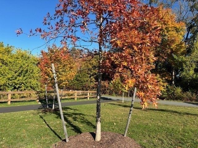 4 Stratton Drive, Unit 301 Woburn, MA 01801 - Photo 5 of 24 a view of a golf course with a tree