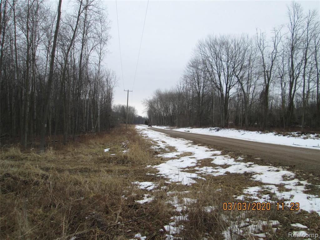4430 Severance Road Decker, MI 48426 - Photo 3 of 18