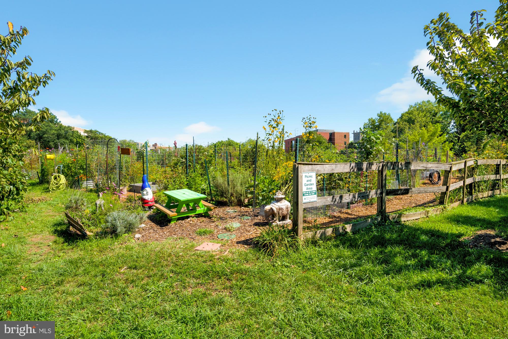 2812 39th Street Northwest Washington, DC 20007 - Photo 31 of 33 Community gardens and farmers markets nearby